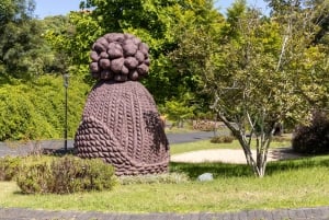 Madeira: Privat guidet tur til Madeira forlystelsespark med afhentning