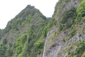 Madeira: yksityinen opastettu kierros sähköautoilla