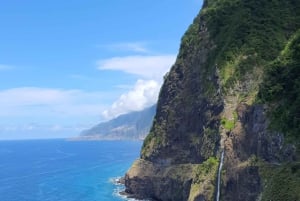 Madeira: yksityinen opastettu kierros sähköautoilla