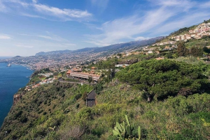 Madère : visite guidée privée en Vespa dans les montagnes (7 heures)