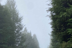 Madère : visite guidée privée en Vespa dans les montagnes (7 heures)