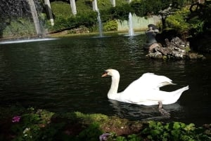 Madeira: Private Half-Day Guided Gardens Tour