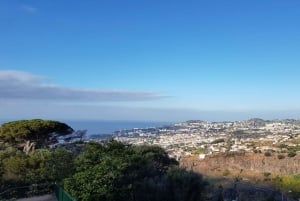 Madeira: Private Half-Day Guided Gardens Tour