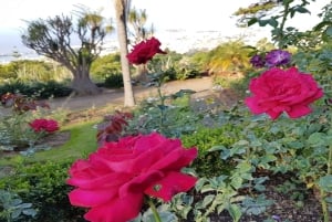 Madeira: Private Half-Day Guided Gardens Tour
