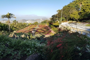 Madeira: Private Half-Day Guided Gardens Tour