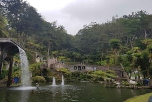Madeira: Private Half-Day Guided Gardens Tour