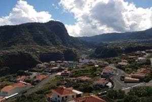 Madeira: Private Half-Day North East Island Tour