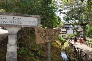 Madeira: Private Half-Day North East Island Tour