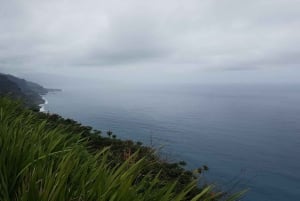 Madeira: Private Half-Day North East Island Tour