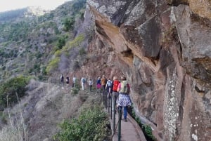 Madeira: Private Half-Day Walking and 4x4 off-road Tour
