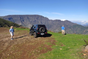 Madeira: Private Half-Day Walking and 4x4 off-road Tour