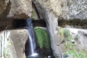 Madeira: Private Half-Day Walking and 4x4 off-road Tour