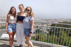 Madeira: Private Half-Day Walking and 4x4 off-road Tour