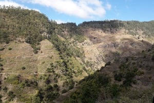 Madeira: Private Half-Day Walking and 4x4 off-road Tour