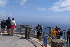 Madeira: Private Half-Day Walking and 4x4 off-road Tour