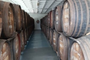 Madeira: Private Half-Day Wine Tasting Tour