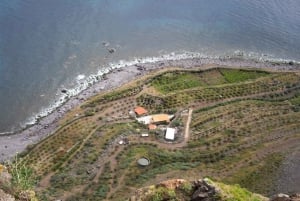 Madeira: Private Half-Day Wine Tasting Tour