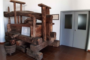 Madeira: Private Half-Day Wine Tasting Tour