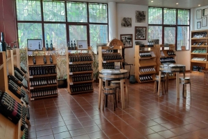 Madeira: Private Half-Day Wine Tasting Tour