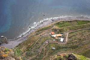 Madeira: Private Half-Day Wine Tasting Tour