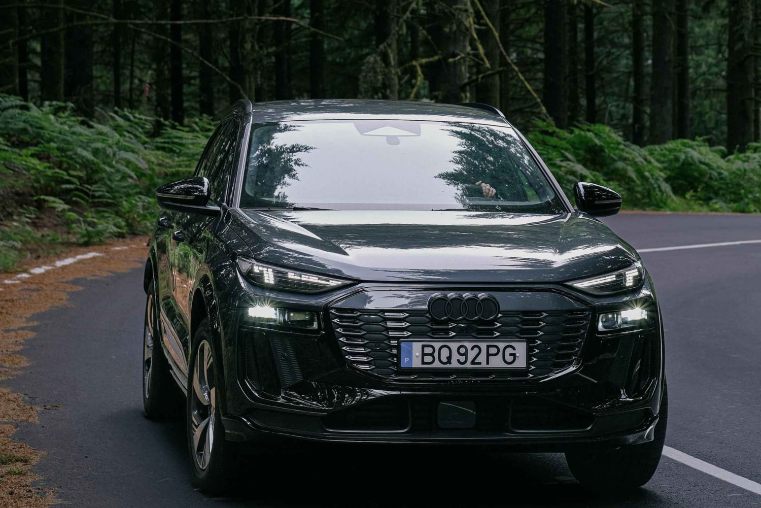 Madeira: escursione privata e giro in barca con pranzo