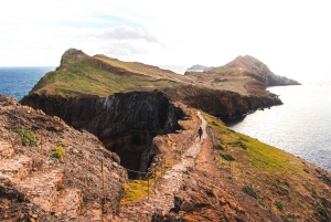 Madeira: escursione privata e giro in barca con pranzo