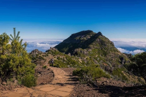 Madeira: escursione privata e giro in barca con pranzo