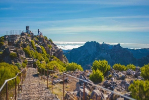 Madeira: escursione privata e giro in barca con pranzo