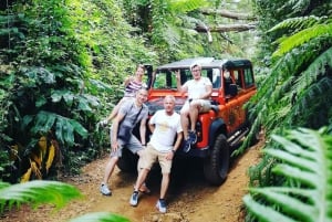 Madeira: Private Jeep 4x4 West Tour to Natural Pools