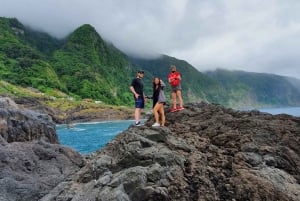 Madeira: Private Jeep 4x4 West Tour to Natural Pools