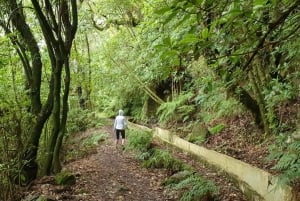 Madeira: Private Jeep 4x4 West Tour to Natural Pools