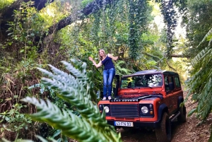 Madeira: tour privato in jeep 4x4 ovest alle piscine naturali