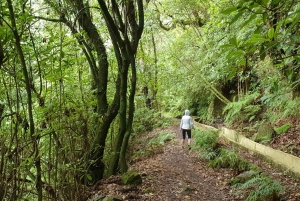 Madeira: tour privato in jeep 4x4 ovest alle piscine naturali