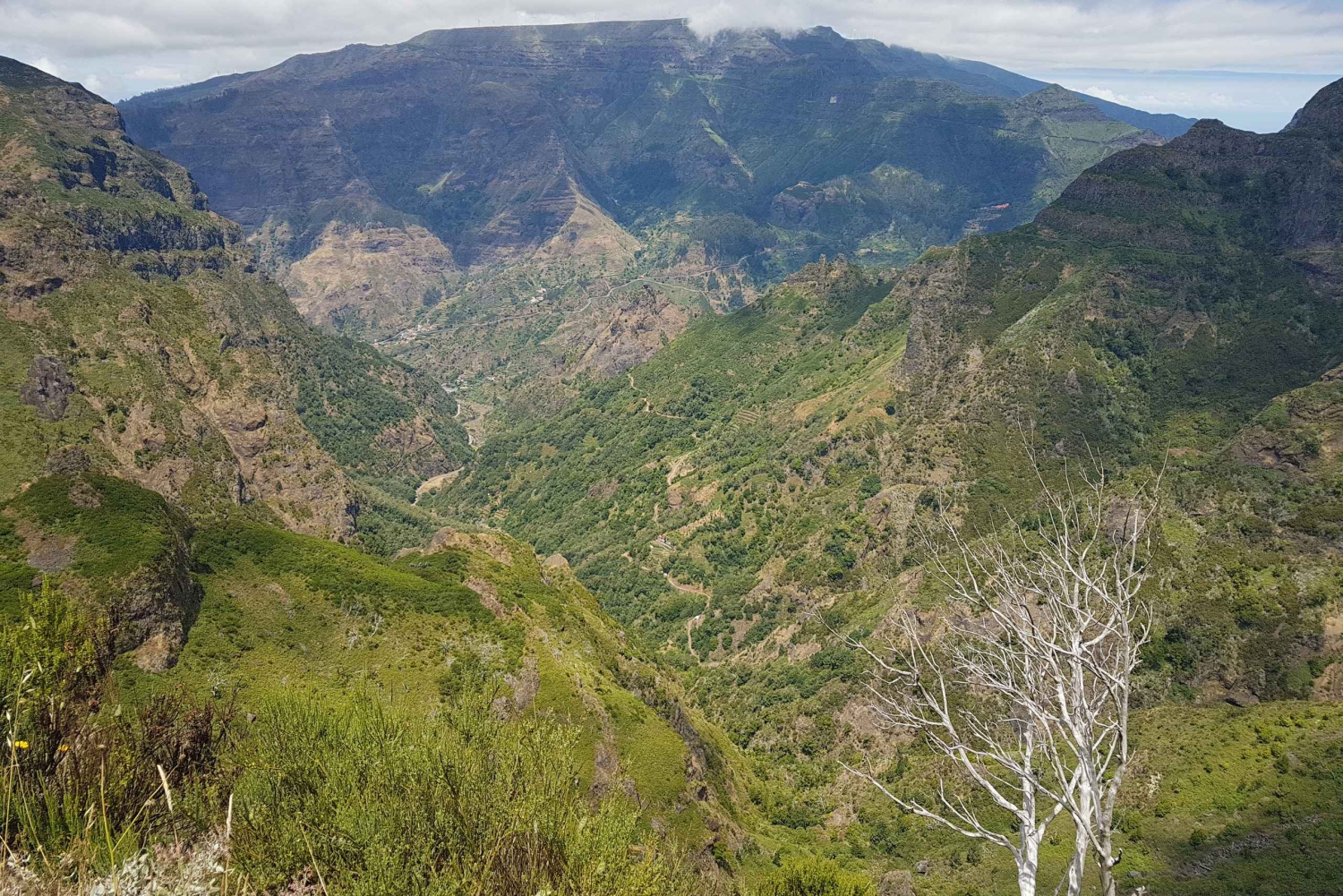 Madeira: Private Laurisilva Tour