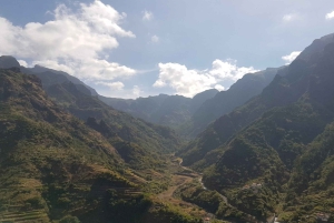 Madeira: Private Laurisilva Tour