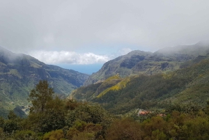 Madeira: Private Laurisilva Tour