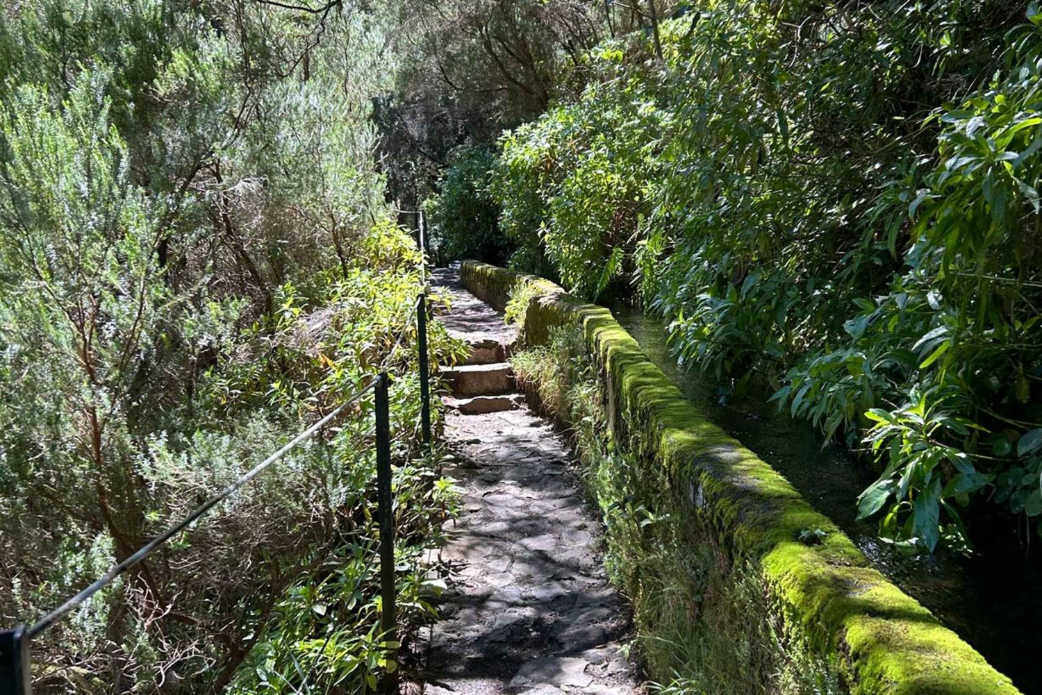 Madeira: Levada Privada com um guia local