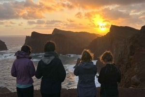Madeira: Levada Privada com um guia local