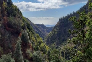 Madeira: Private Moinhos Levada Nova Walk Ponta do Sol