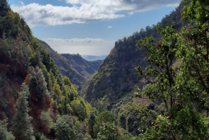 Мадейра: частный Moinhos Levada Nova Walk Ponta do Sol