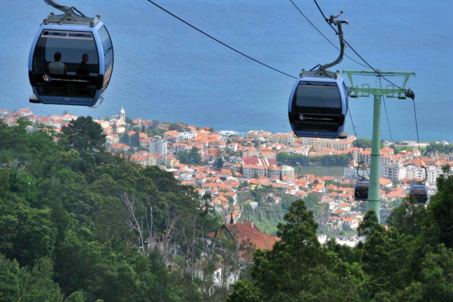 Madera: Prywatna wycieczka po Monte kolejką linową z transferem