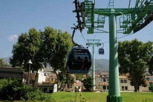 Madeira: Private Monte Tour By Cable Car with Transfer