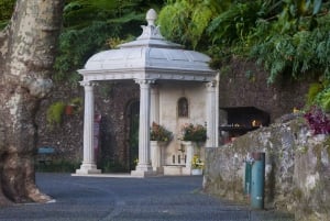 Madera: Prywatna wycieczka po Monte kolejką linową z transferem