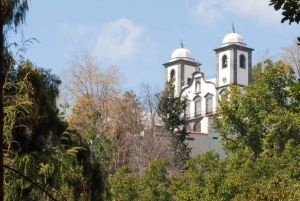 Madera: Prywatna wycieczka po Monte kolejką linową z transferem