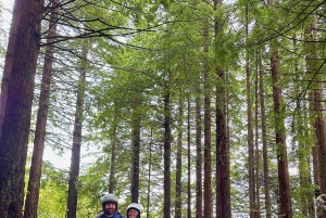 Madère : aventure privée en quad à la découverte de la nature sauvage