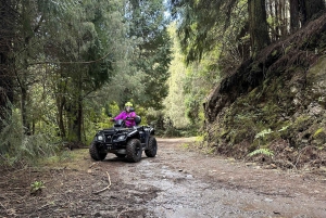 Madère : aventure privée en quad à la découverte de la nature sauvage