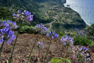 Madère : aventure privée en quad à la découverte de la nature sauvage