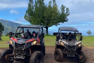 Madeira: Off-Road Buggy Driving Experience