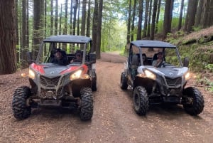 Madeira: Off-Road Buggy Driving Experience
