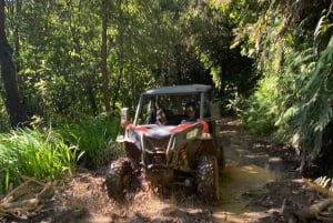 Madeira: Off-Road Buggy Driving Experience